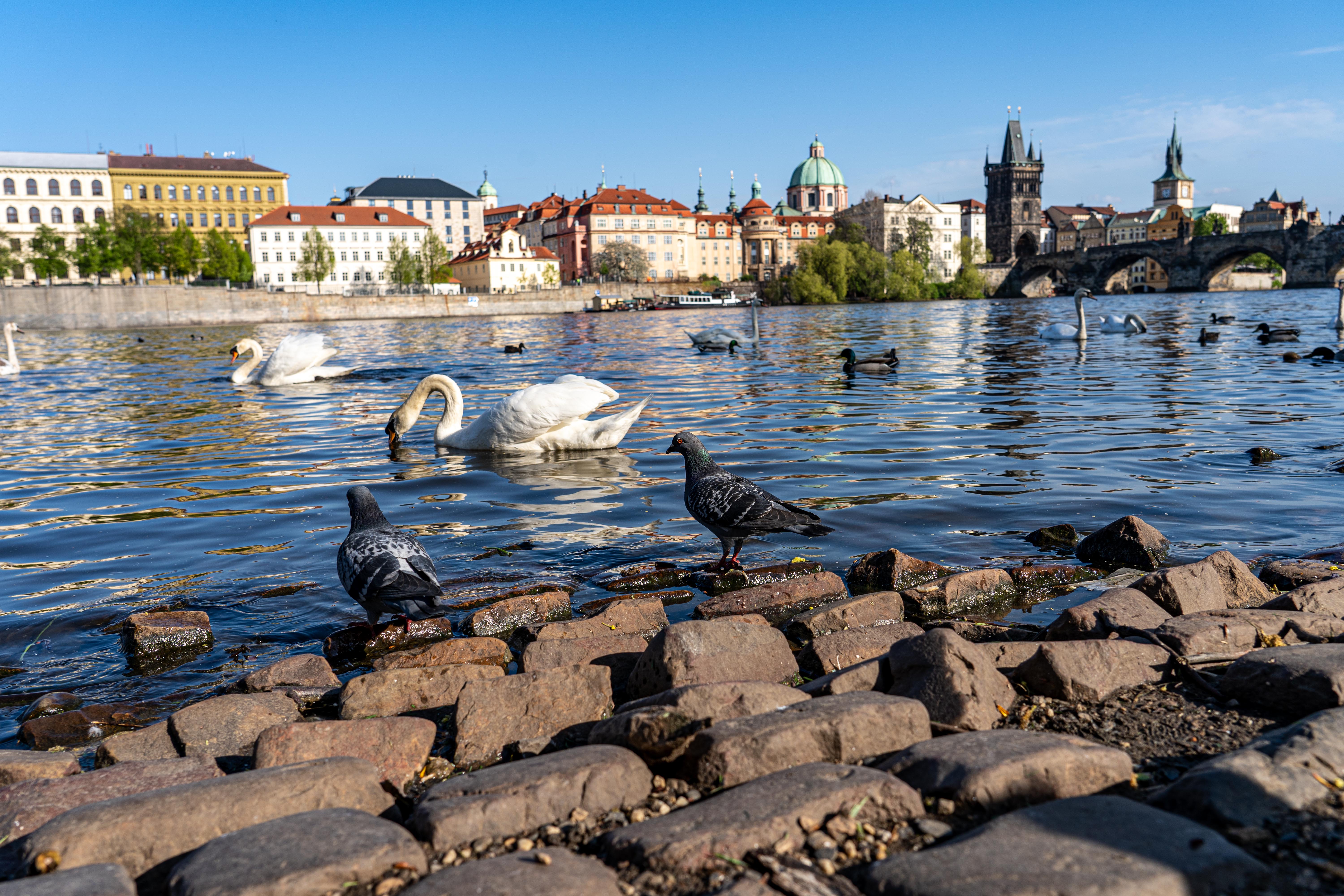 Náplavka u Hergetovy cihelny